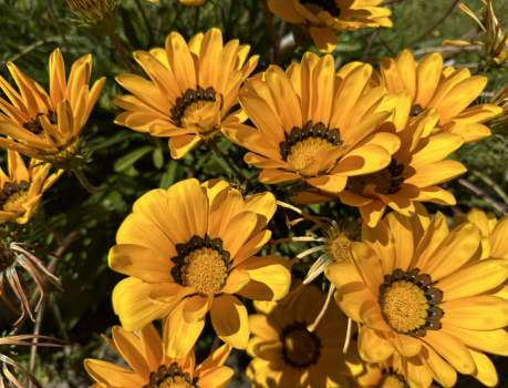 portfolio surroundings