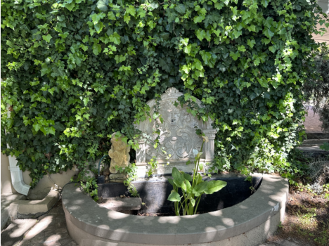 portfolio surroundings