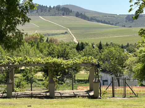 portfolio surroundings